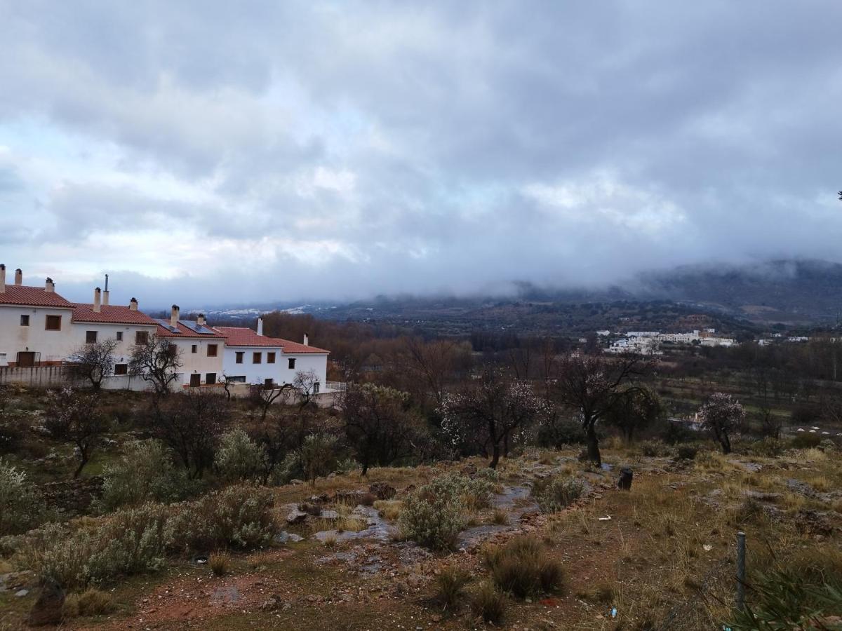 Los Olivos De Fondón מראה חיצוני תמונה